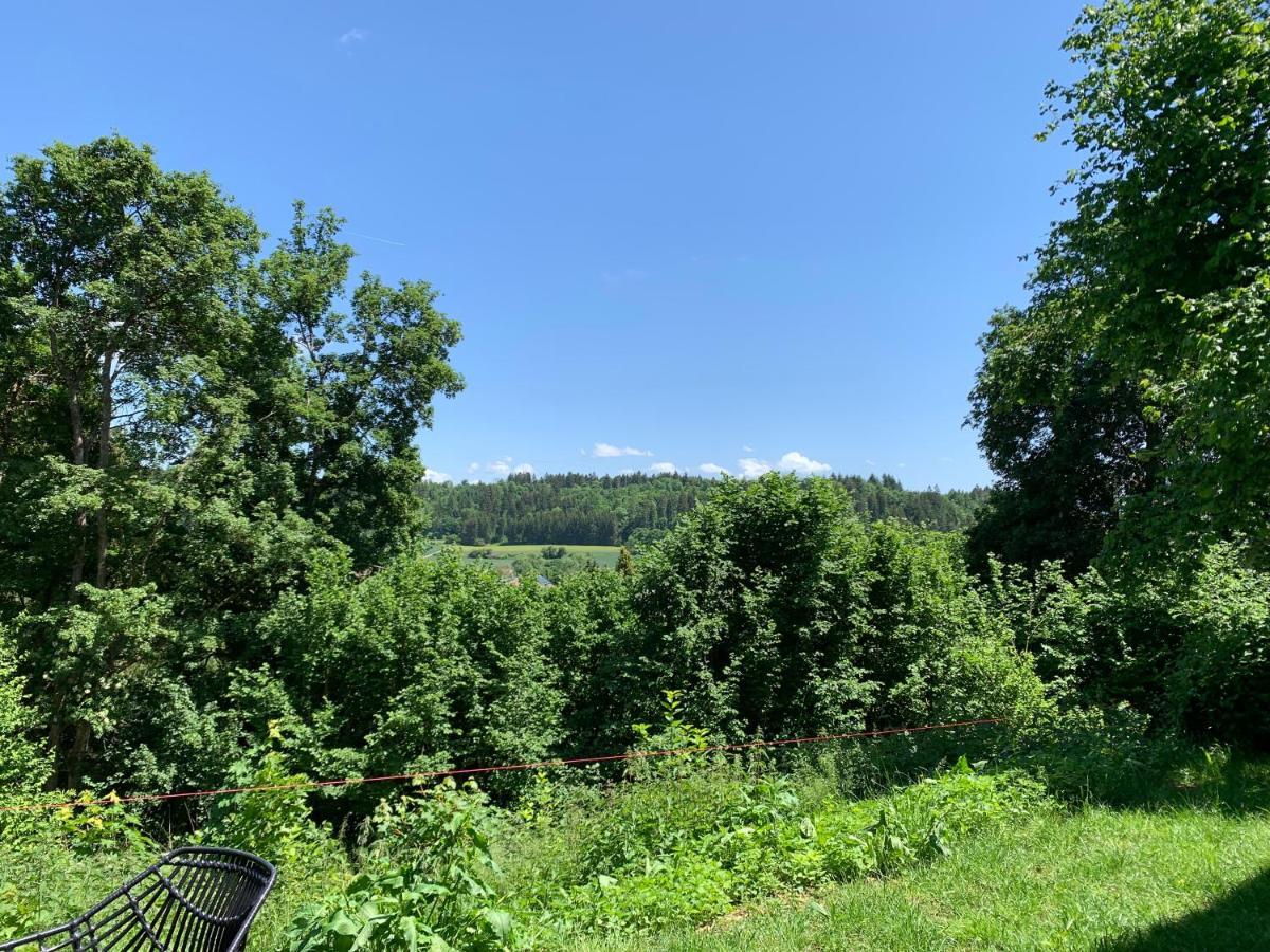 Moderne Wohnung Im Gruenen Mit Privatem Garten Donaueschingen Exterior foto