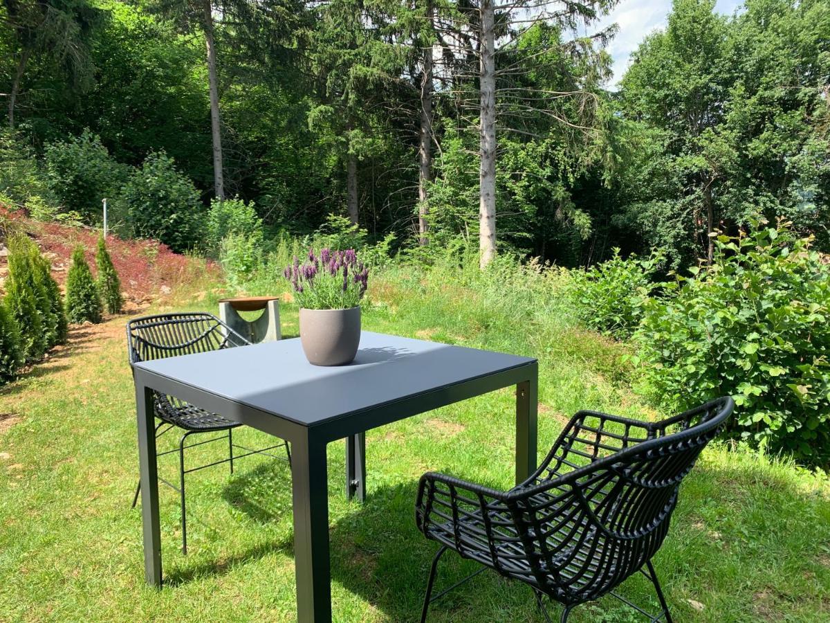 Moderne Wohnung Im Gruenen Mit Privatem Garten Donaueschingen Exterior foto