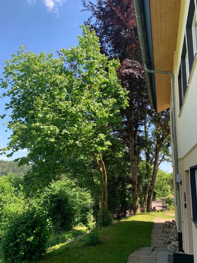 Moderne Wohnung Im Gruenen Mit Privatem Garten Donaueschingen Exterior foto
