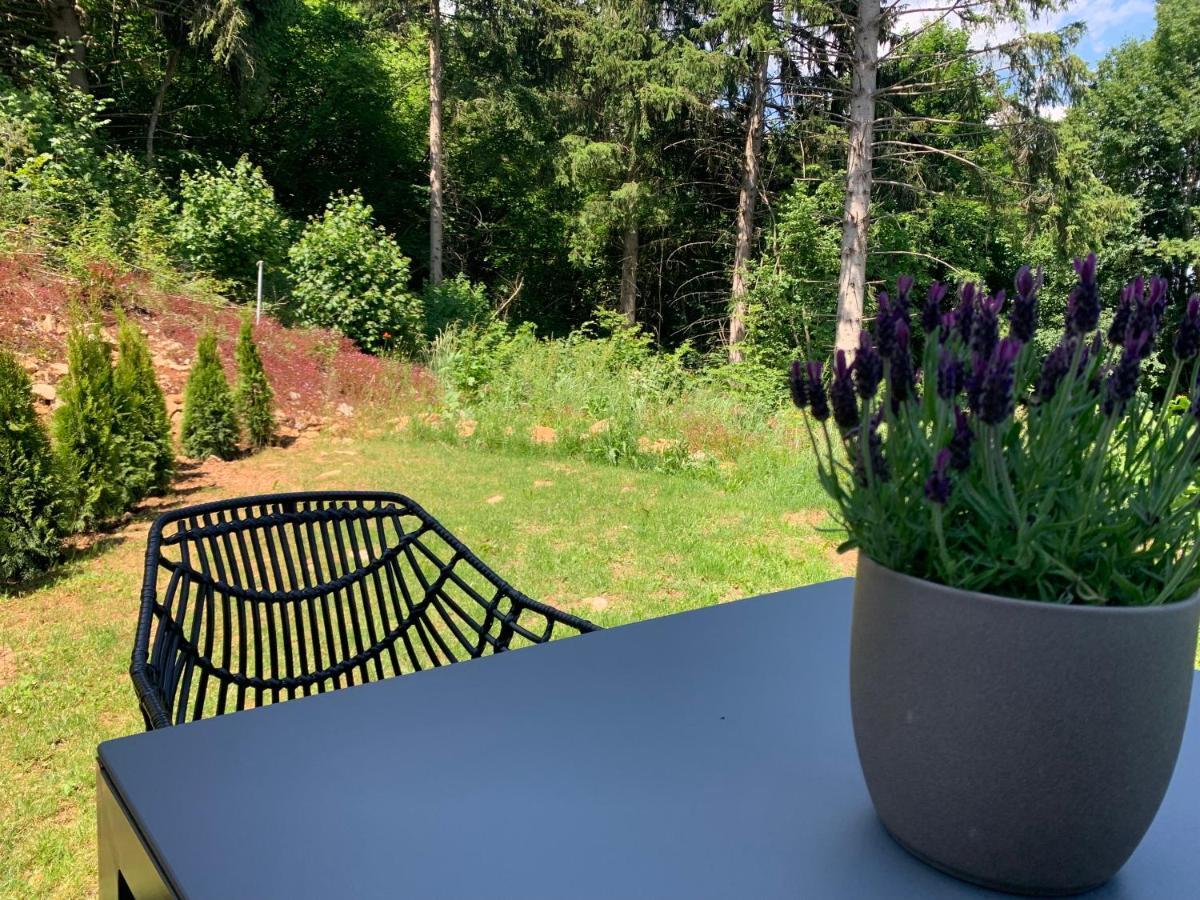 Moderne Wohnung Im Gruenen Mit Privatem Garten Donaueschingen Exterior foto